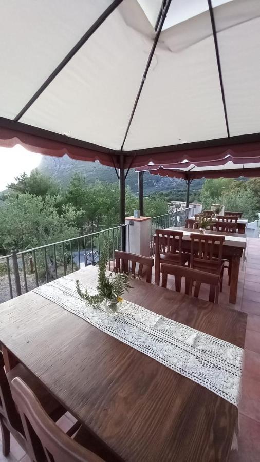 B&B Da Maria Teresa - Маратеа Екстер'єр фото