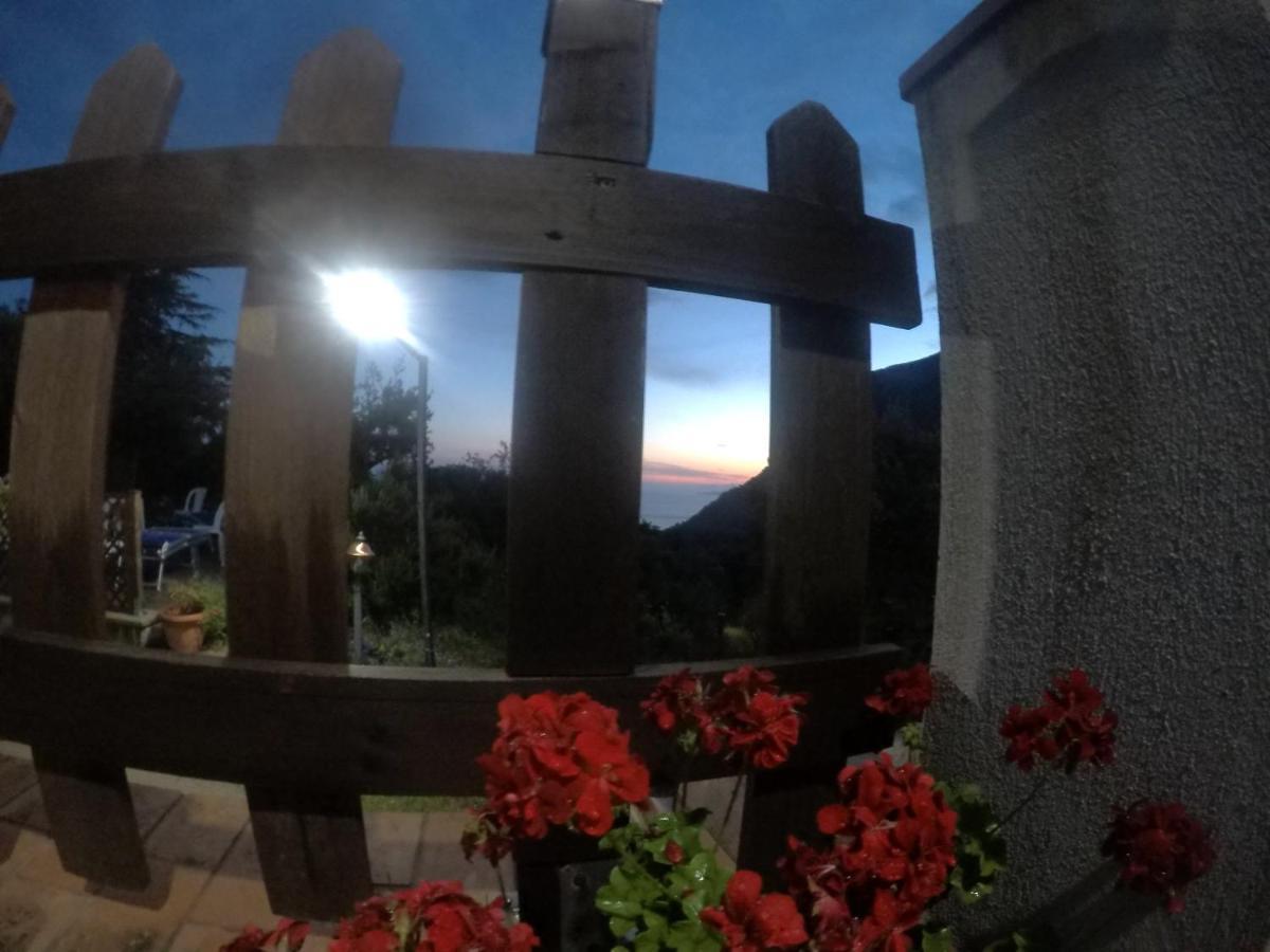 B&B Da Maria Teresa - Маратеа Екстер'єр фото